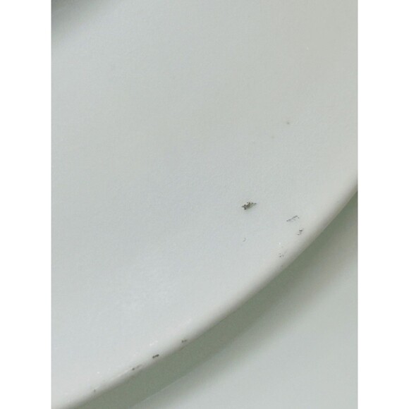 Zeh, Scherzer & Co Bavaria Plate Saucer Pink Roses Flowers Gold Trim 5.5” VNTG - Picture 8 of 9